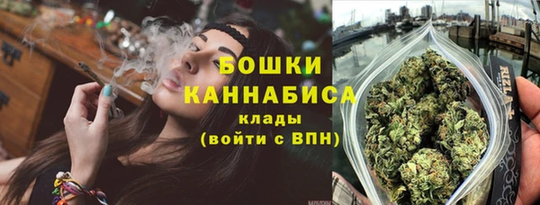 стафф Богородск