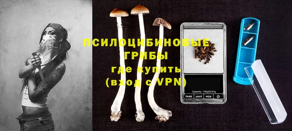 стафф Богородск