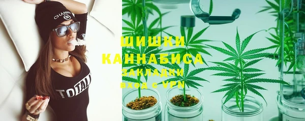 стафф Богородск